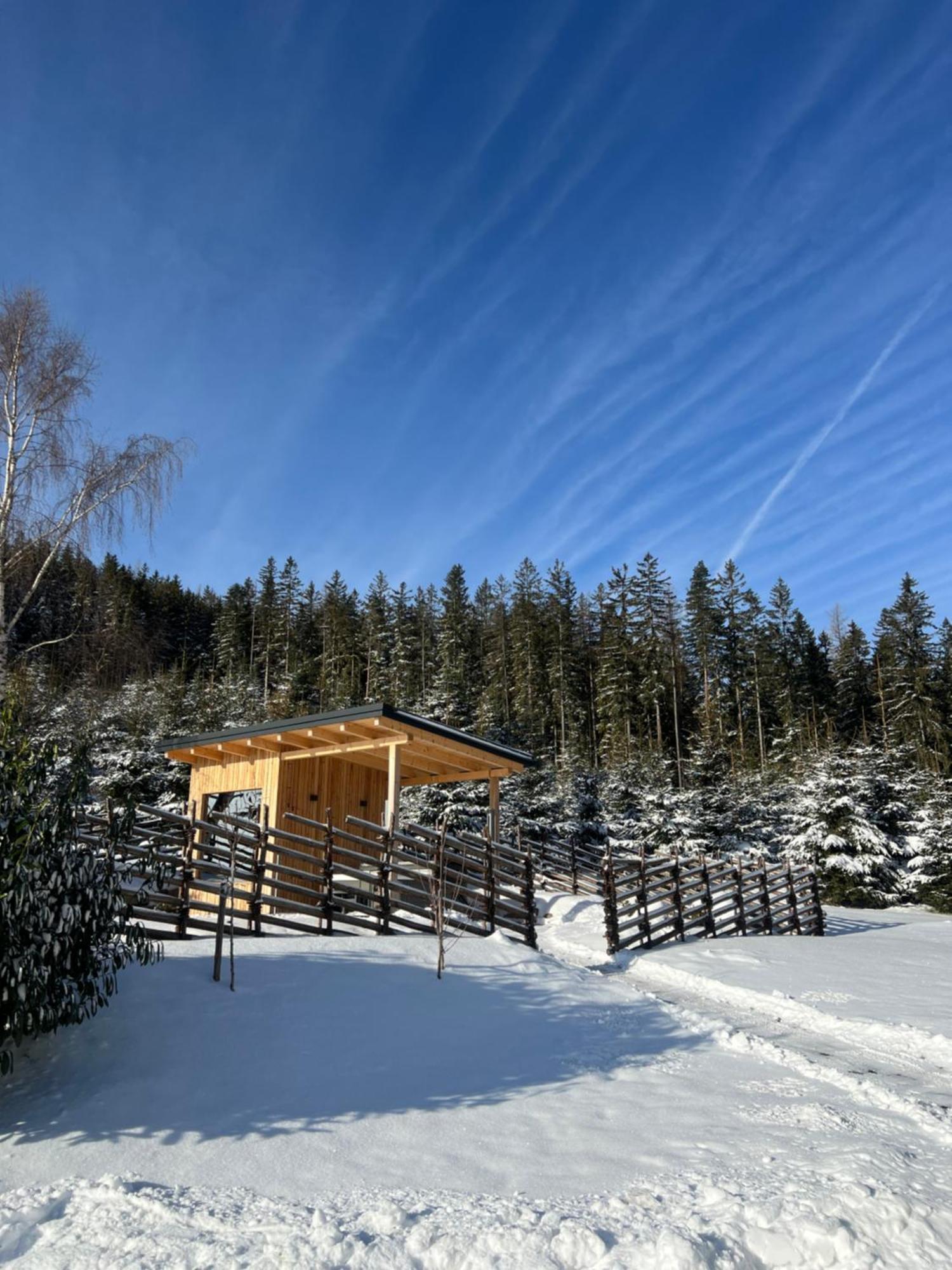 Waldheimatblick Villa Sankt Kathrein am Hauenstein Dış mekan fotoğraf